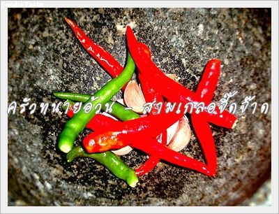 Recipe 215255363221.jpg