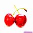 Foodie Cherryberry
