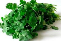 ผักชี  (cilantro, coriander )