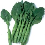 ѡй