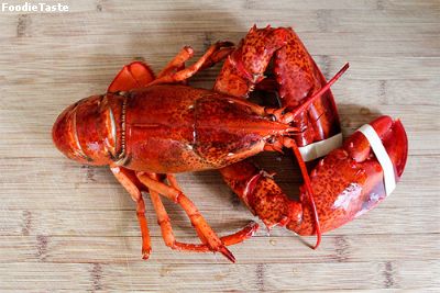 กุ้งล๊อบสเตอร์ lobster